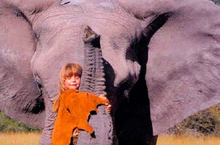  How does a Mowgli girl who spent her entire childhood among elephants and cheetahs live now? Now she’s 30 years old