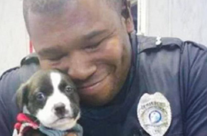  By chance, this puppy had a loving owner and the officer had a faithful friend.