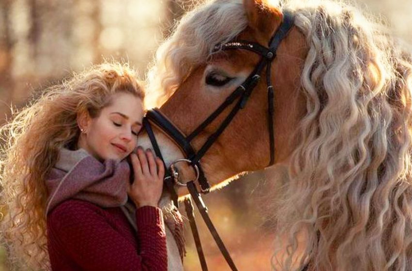  Like twins: a very beautiful horse and her owner charmed the Net