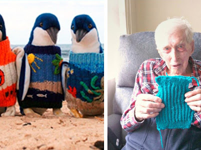  Unusual Occupation: 109-year-old Man from Australia Knits Sweaters for Penguins