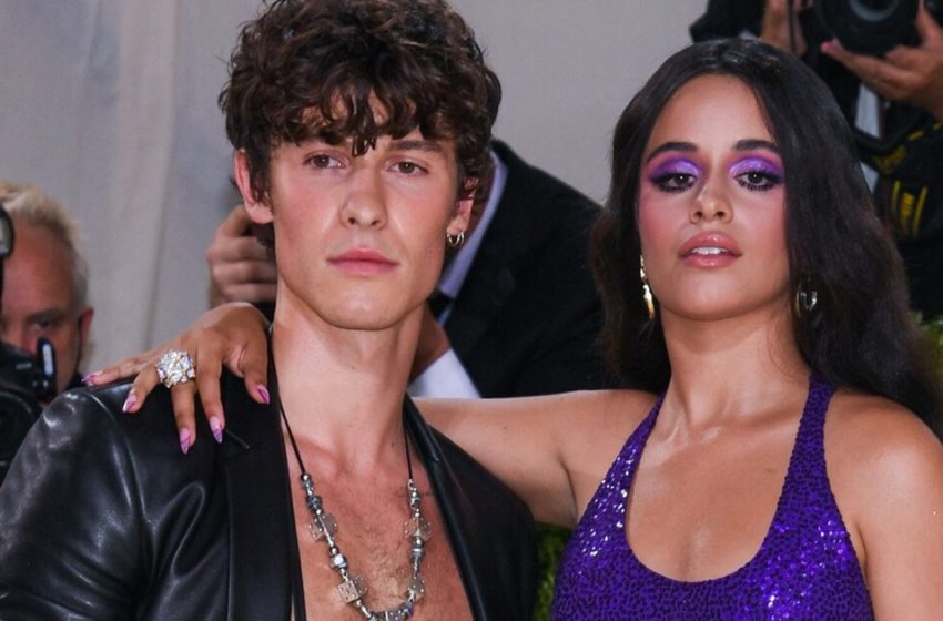  “It Was a Fling And Nothing More”: Camila Cabello And Shawn Mendes Split Six Months After Reunion!