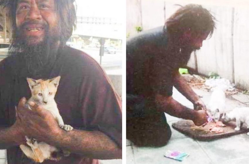  “Friends In misfortune”: A Homeless Man Feeds Street Cats Every Day, Despite The Fact That He Himself Is Starving!