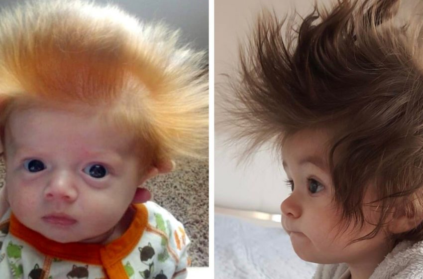  “Little Cuties”: Children Who Conquered The World Not Only With Their Charm, But Also With Their Magnificent Hair!