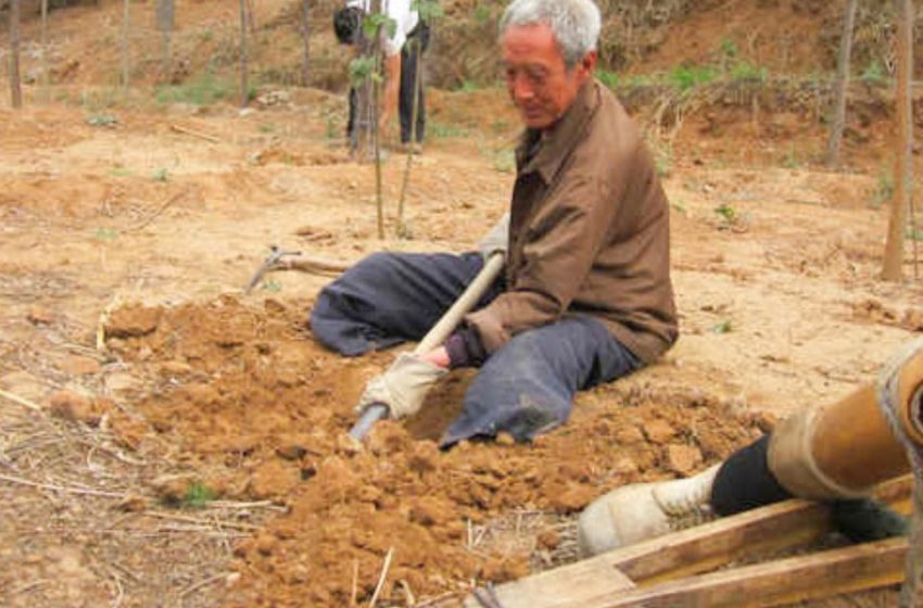  “Memory Of Me Live Forever”: 70-year-old Veteran With Physical Limitations Planted About 17 Thousand Trees In 19 Years!